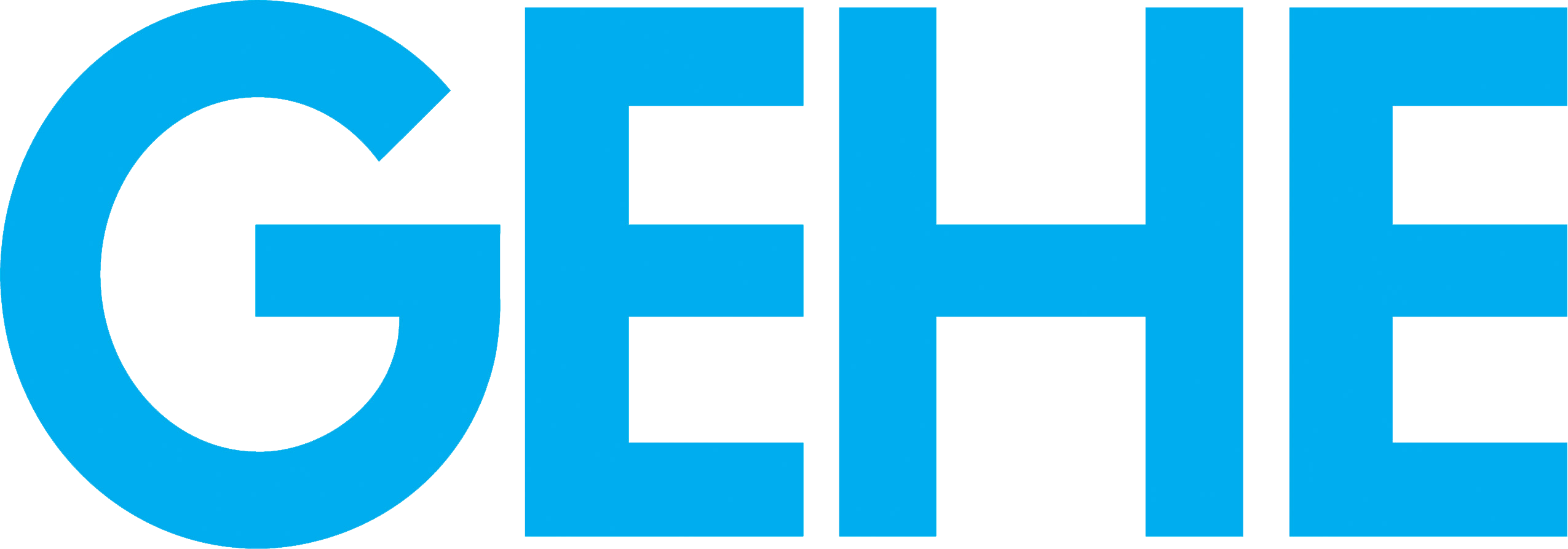 GEHE-Logo-data
